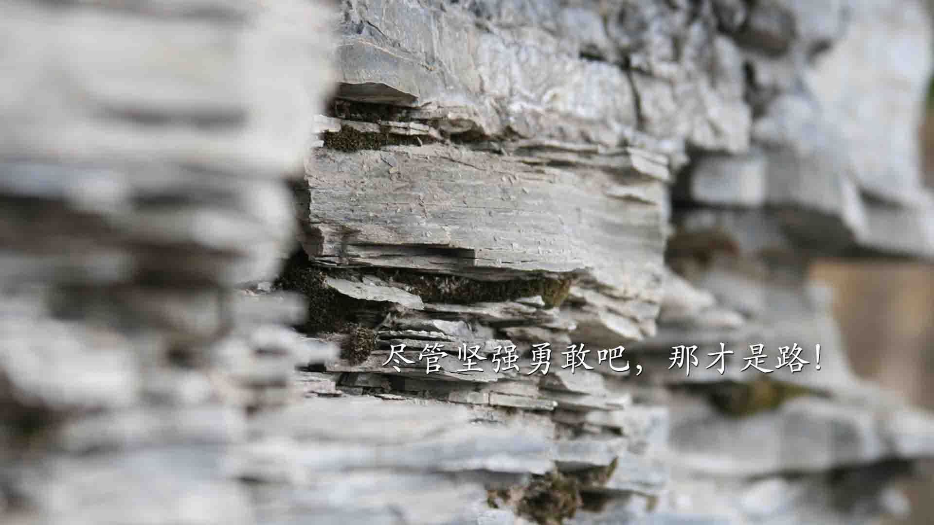 爱游戏体育-传统民族摔跤比赛，激情对决彰显民族特色，民族式摔跤种类