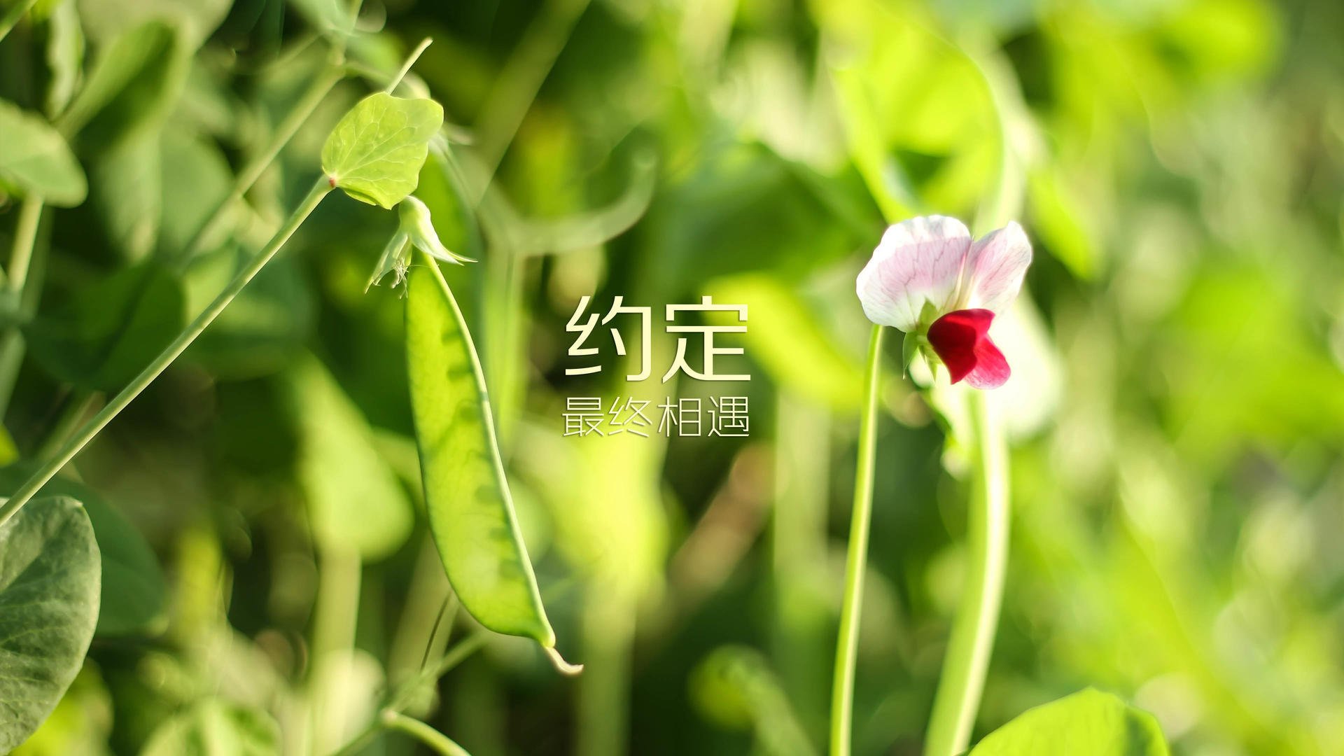 AYX官网-国际合作：交流赛让文化碰撞更精彩，国际交流合作协议
