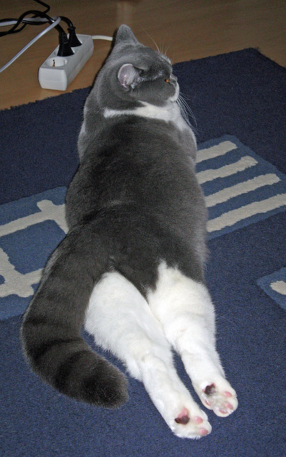 AYX SPORTS-压哨球员的心理建设分析,压哨球是什么意思