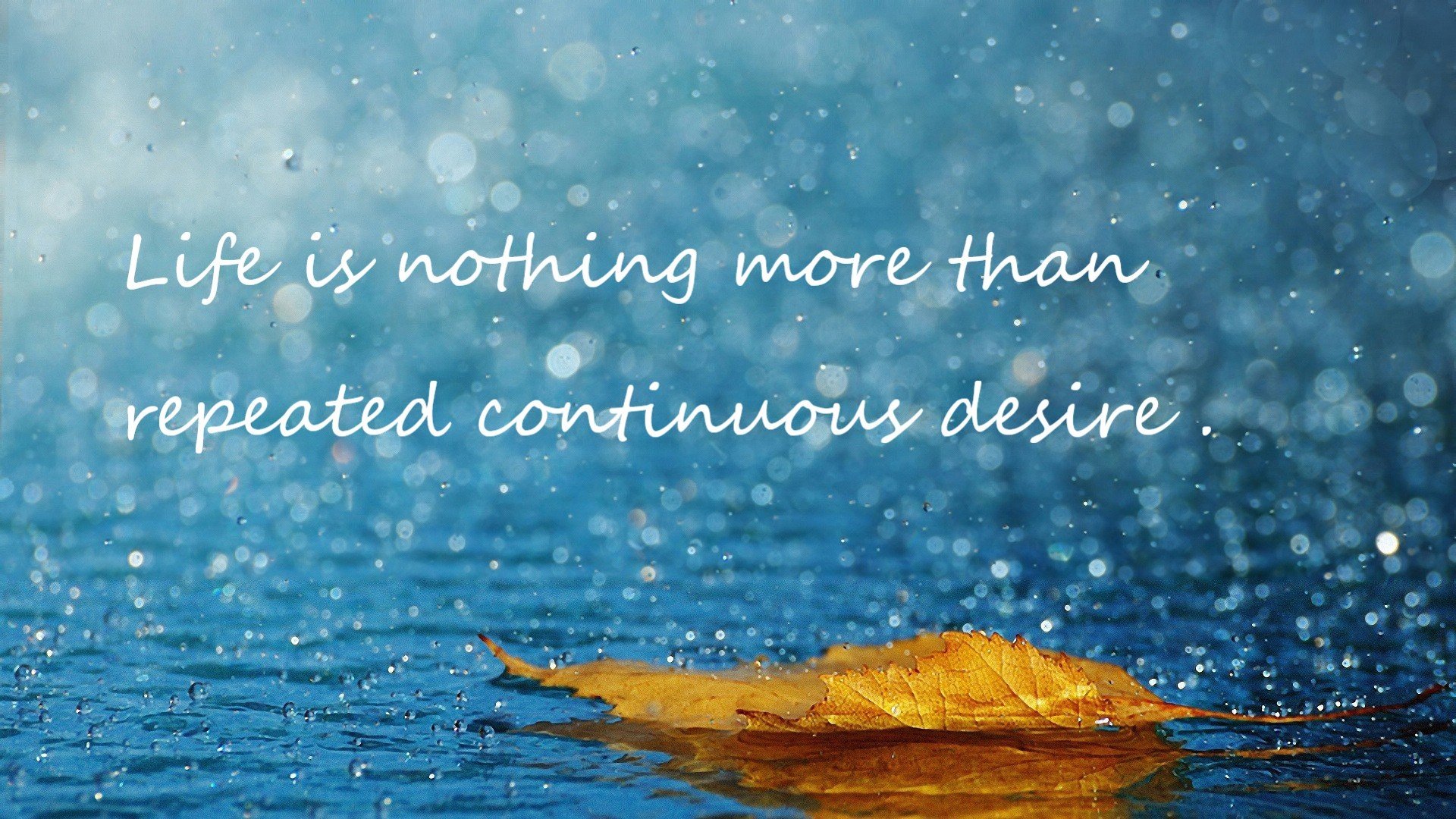 爱游戏官方网站-自由搏击联盟推广女子赛事促进性别平等，自由搏击联盟叫什么