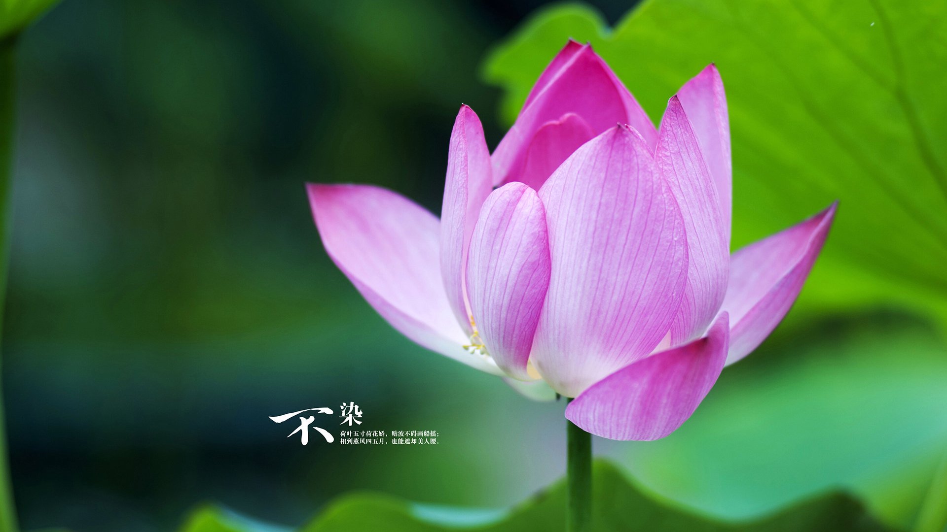 AYX体育官网-国足门将扑点成比赛最大功臣，国足门将训练