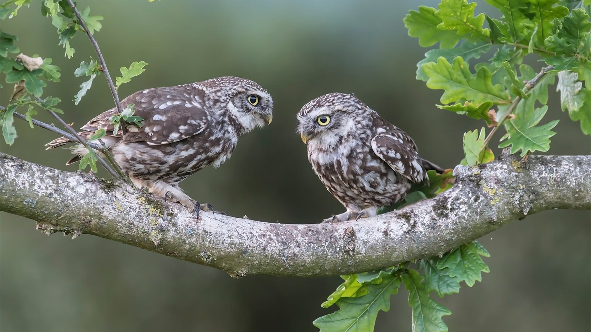 爱游戏娱乐网址-女子篮球引入情绪调控训练提升比赛情绪稳定性，女子篮球队训练方法