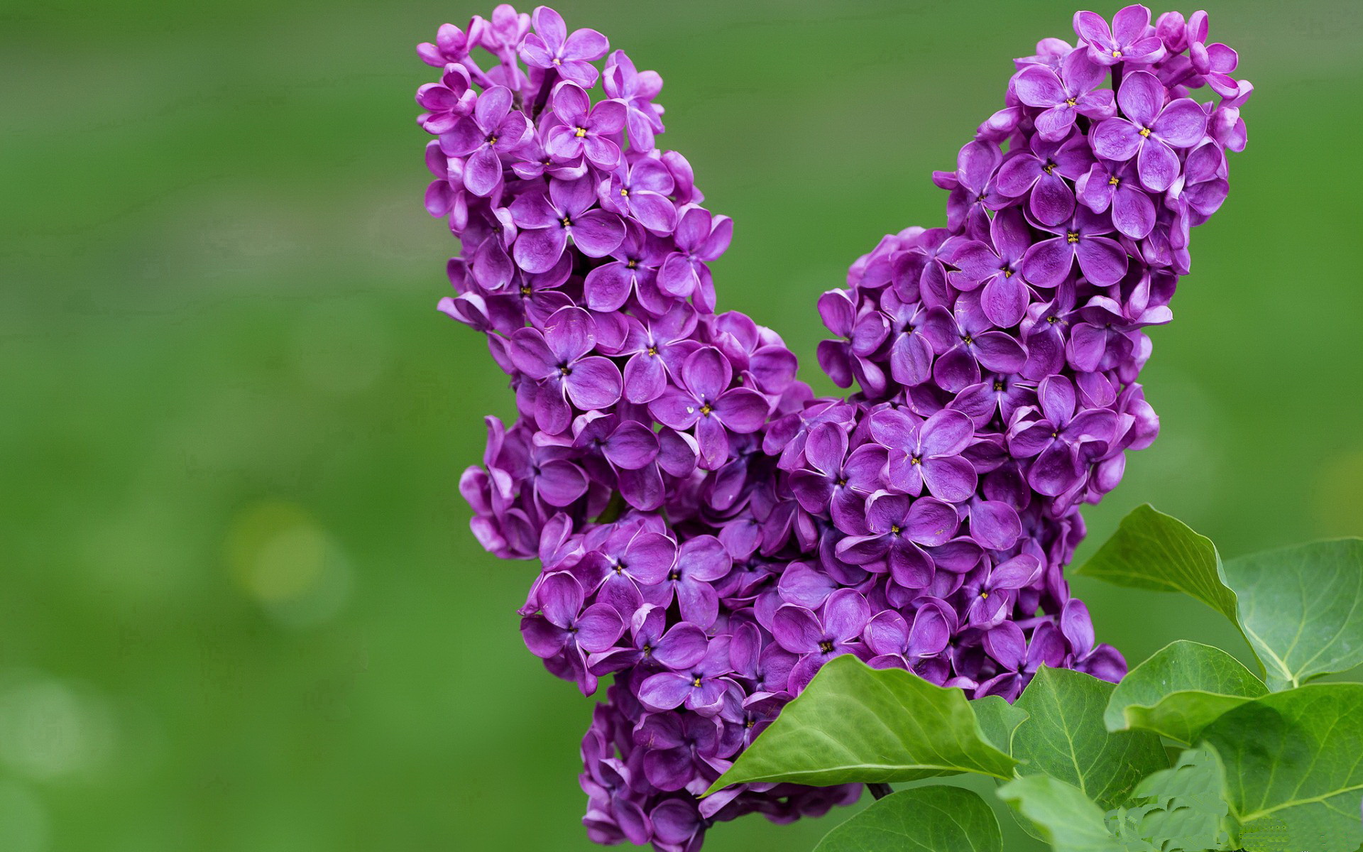 爱游戏体育-特色足球运动在少数民族地区深入推广，促进民族团结发展，足球特色学校主题绘画