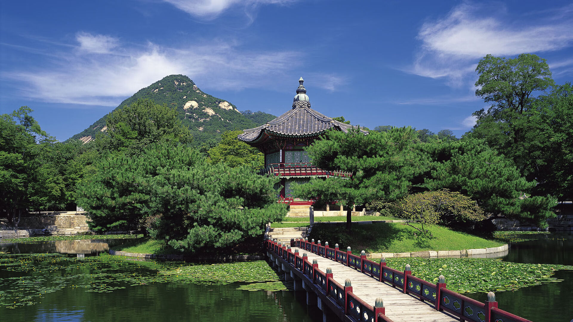 爱游戏娱乐-王宗源3米跳板决赛技术细腻，王宗源 跳水